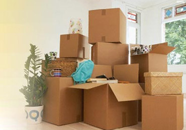 Domestic Relocation Services