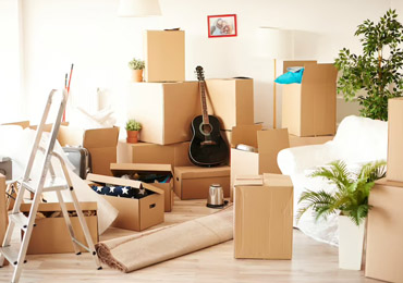 Packers and Movers Services