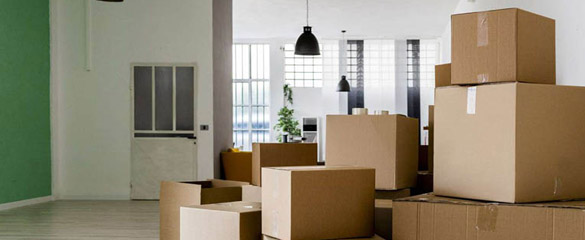 Office Shifting Services 
